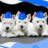Sratte 50 Pcs Miniature Construction Hat Mini Construction Toy Doll Hats Plastic Miniature Bottle Topper for Party(Blue) view 3