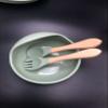 Baby led weaning, Silicone Baby Feeding Set Baby Bibs Suction Bowl Divided Plate Cup Self Feeding Spoons Baby and Toddler Dish Set. 6 Pieces, Suction Bowl and Plate. (Millitary Green) view 2