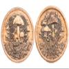 Fungible Token Decision Maker in Solid Copper view 1