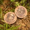 Fungible Token Decision Maker in Solid Copper view 4