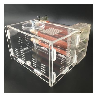 Ant Farm Glass 6 Bamboo Tube Ant Nest Acrylic Ant Farm With Active Zone Ant Castle Villa Formicarium Pet Anthill Workshop Ant Feeding Box Study Science Experiment Gift ( Color : B , Size : 1.8*18cm )