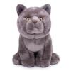 Tiny Heart Simulation British Short cat Plush Toys, 11.02inch Cute British Short cat Stuffed Animal Plush Toys for Kids Boys and Girls Kawaii Birthday Gifts, Room Decoration view 1
