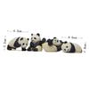 Cabilock 8Pcs Adorable Panda Shaped Toy DIY Versatile Decor for Home Garden for Micro Landscapes and Ideas Portable Panda Figurines view 3