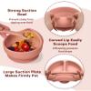 ECLIP Silicone Baby Feeding Set, 10 Pcs Baby Eating Essentials with Suction Bowl Divided Plate Adjustable Bib Soft Spoon Fork Snack Cup with Lid Drinking Cup, Utensil (Brick Red) view 3