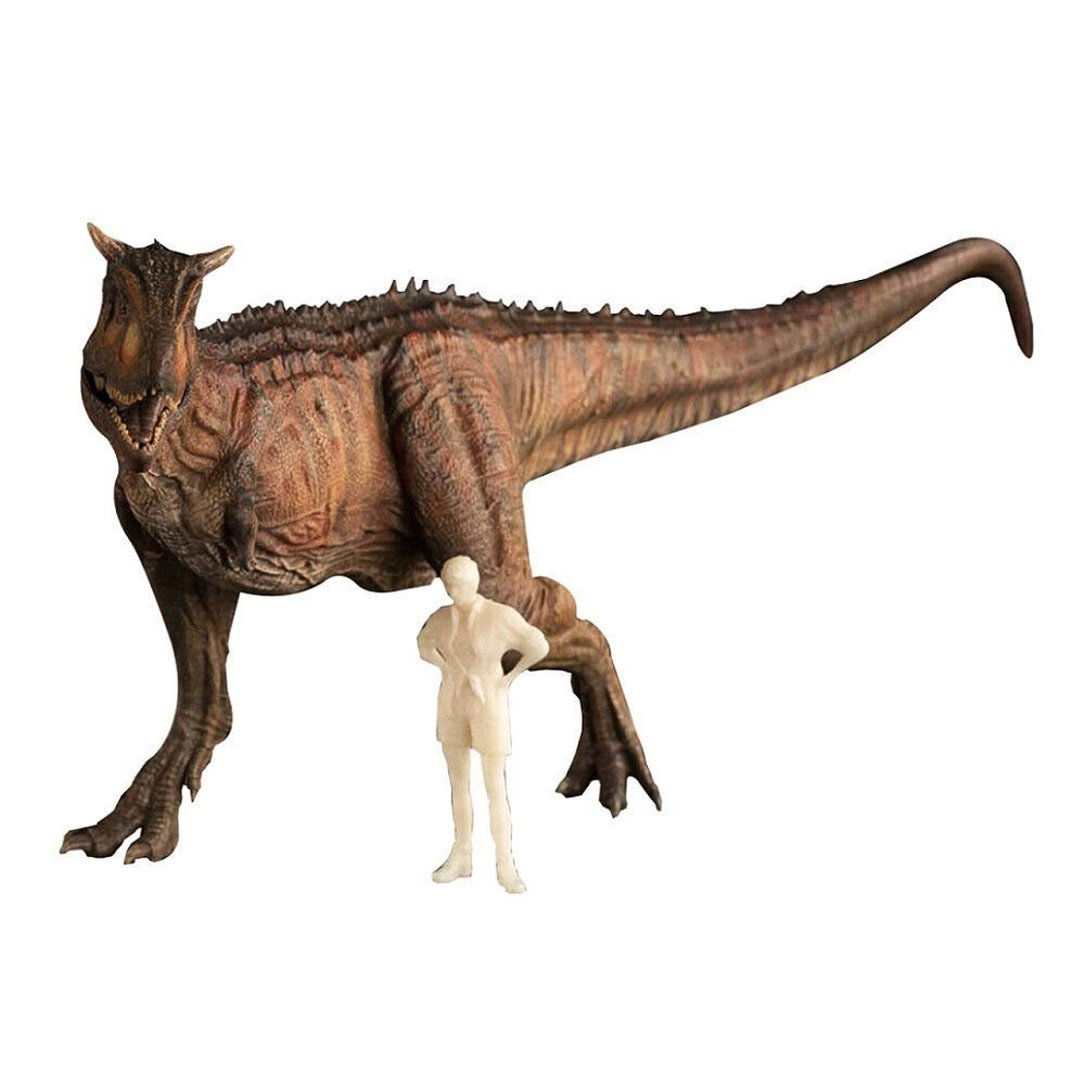 Esculturas de cabeza TongN Color Rojo 1:35 Carnotaurus Dinosaur Animal Figura de accin con juguetes humanos clsicos para ni?os Coleccin de mandbulas mviles Regalo