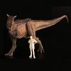 Esculturas de cabeza TongN Color Rojo 1:35 Carnotaurus Dinosaur Animal Figura de accin con juguetes humanos clsicos para ni?os Coleccin de mandbulas mviles Regalo view 2
