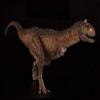 Esculturas de cabeza TongN Color Rojo 1:35 Carnotaurus Dinosaur Animal Figura de accin con juguetes humanos clsicos para ni?os Coleccin de mandbulas mviles Regalo view 3