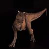 Esculturas de cabeza TongN Color Rojo 1:35 Carnotaurus Dinosaur Animal Figura de accin con juguetes humanos clsicos para ni?os Coleccin de mandbulas mviles Regalo view 4