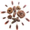 Cooplay 24pcs Fake Dog Poop Realistic Turd Cockroach Fly Flies Maggot Halloween Novelty Floating Poo for April Fools' Day Christmas Prank Tricky Toys Props with Drawstring Bags view 4