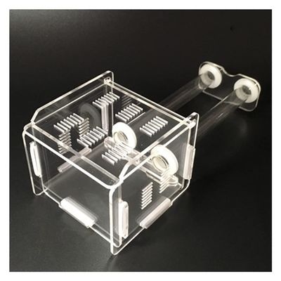 KXCR Ant Farm 2 Pcs 15-150mm Test Tubes Ant Farm Acrylic Ant Nest Feeding Box Ecological Ant House Castle with Feeding Area Anthill Workshop Ants Habitat Science Experiment Kit (Size : B)
