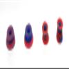 SPITBOARDS Fingerboard Swirl Bushings Duro Series 78A Blue-Red view 1
