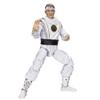 Hasbro - Power Rangers X Cobra Kai Lightning Collection Morphed Daniel LaRusso White Crane Ranger view 2