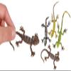 HAPPY DEALS ~ Lizard Figures | 12 Pc | Reptile Animals Toys | 5 Inch Size view 1