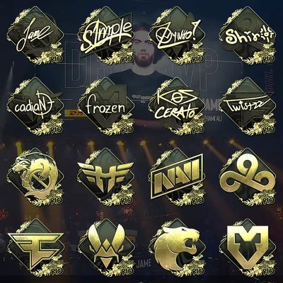 2022 Rio Major, 2021 Antwerp csgo Print Set Peripheral Stickers, Titan Holographic Stickers (2022 Rio Gold Stickers 1 Set of 16)
