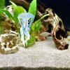 Zerodeko Plastic Jellyfish Toys, Realistic Ocean Animals Model for Sea Life Collection view 3