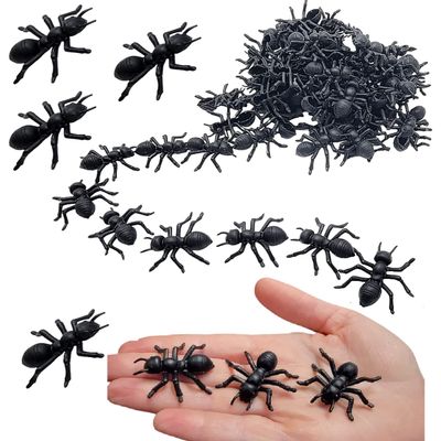Large 1.5" Black Carpenter Ant Toys (144 Pack) Plastic. Realistic Looking Ants. Prank, Props, Cake, Cupcake Decor and More! (144 Ants)