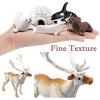 10 PCS Arctic Animals Figures, Polar Animals Figurines for Diorama School Project, Arctic Tundra Animal Toys Set with Polar Bear Deer Arcitc Fox Wolf view 3