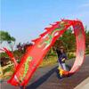 OLOTU Dance Lion Outdoor Dragon Fitness Ribbon Extra Long 3D Colorful Washable Dragon Dance with 3D Dragon Head for Kids and Aldult Perfect Lifelike view 2