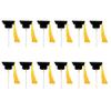 12pcs Graduation Cap Cake Toppers Chic Graduation for Cakes for Celebrating Graduates Fun view 1