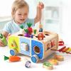 Dailyfunn Montessori Wooden Farm Toys for Babies Toddlers Boys Girls 1-3 Years Old 1st First Birthday Gifts| Fine Motor Skills Developmental Fishing Game Carrots Harvest Game Shape Sorter view 1