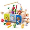 Dailyfunn Montessori Wooden Farm Toys for Babies Toddlers Boys Girls 1-3 Years Old 1st First Birthday Gifts| Fine Motor Skills Developmental Fishing Game Carrots Harvest Game Shape Sorter view 2