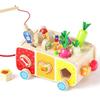 Dailyfunn Montessori Wooden Farm Toys for Babies Toddlers Boys Girls 1-3 Years Old 1st First Birthday Gifts| Fine Motor Skills Developmental Fishing Game Carrots Harvest Game Shape Sorter view 3