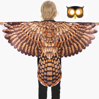 D.Q.Z Bird-Wings-Owl-Costume for Kids with Mask, Dress Up Clothes for Boys Girls Toys Eagle Role Play Hallowen Party (Brown)