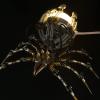 Metalkitor Steampunk Spider Desk Lamp - 3D Metal Puzzle with Light, 512 Pieces DIY Assembly Kit for Kids and Adults - Brain Teaser Desk Ornament view 3