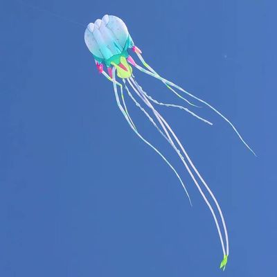 HFLY Kite Large 59ft Macaroon Color Jellyfish Kites for Adults Ripstop Nylon Soft Inflatable Show Kites