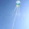 HFLY Kite Large 59ft Macaroon Color Jellyfish Kites for Adults Ripstop Nylon Soft Inflatable Show Kites view 4