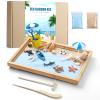 Zen Garden Kit for Desk - Premium Beautiful Japanese Mini Beach Zen Sand Garden Box Decor Set for Home, Office with Bamboo Tray, Sand, Tools, Shark, Ship - Desktop Meditation, Accessories Zen Gifts view 1