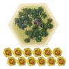 Tabletop Monthly Lost Jungle Hex Scenario compatible with Catan's Settlers of Catan, Seafarers, Cities and Knights and Catan Expansions view 1
