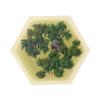Tabletop Monthly Lost Jungle Hex Scenario compatible with Catan's Settlers of Catan, Seafarers, Cities and Knights and Catan Expansions view 2