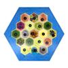 Tabletop Monthly Lost Jungle Hex Scenario compatible with Catan's Settlers of Catan, Seafarers, Cities and Knights and Catan Expansions view 3
