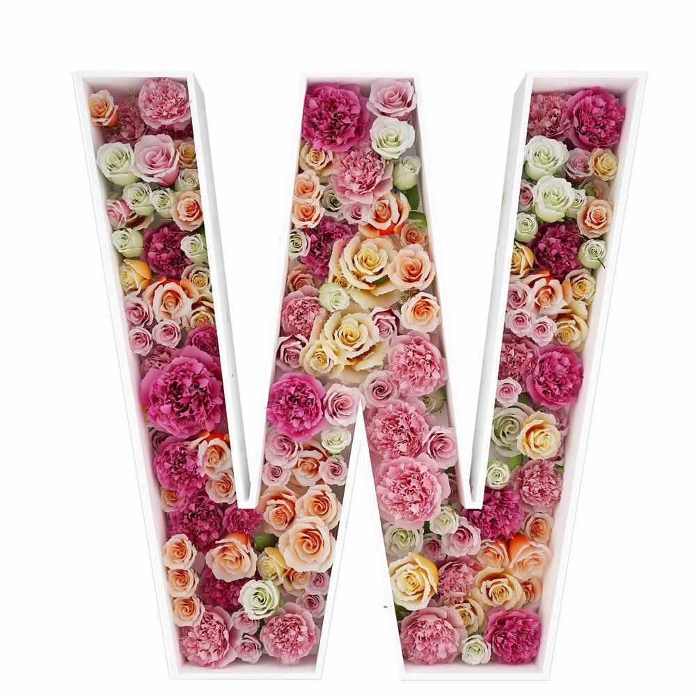 2FT Letter W Mosaic Balloon Frame Letter DIY Fillable Letters Kit for Birthday Party Wedding Backdrop Decor