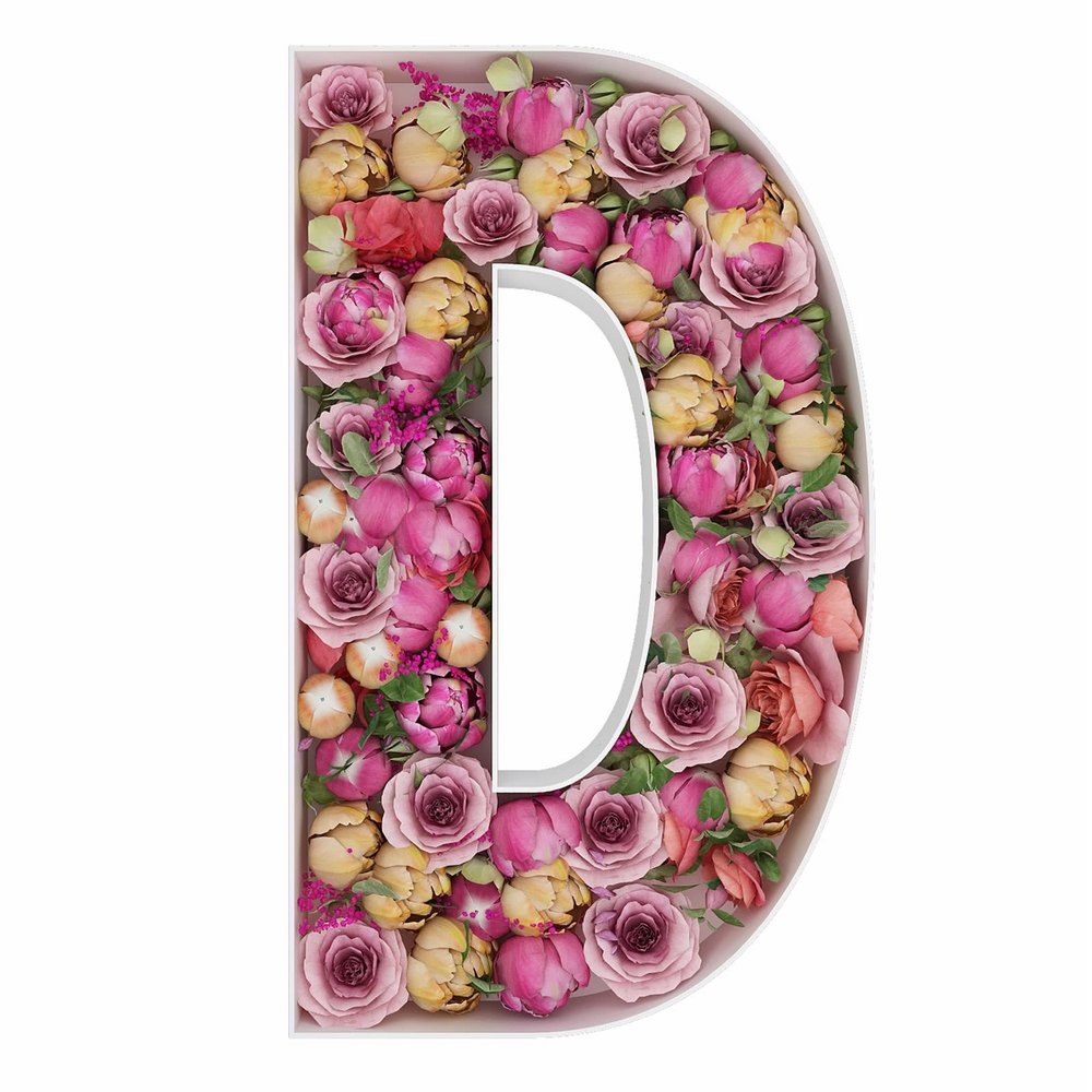 2FT Letter D Mosaic Balloon Frame Letter DIY Fillable Letters Kit for Birthday Party Wedding Backdrop Decor