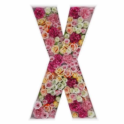 2FT Letter X Mosaic Balloon Frame Letter DIY Fillable Letters Kit for Birthday Party Wedding Backdrop Decor