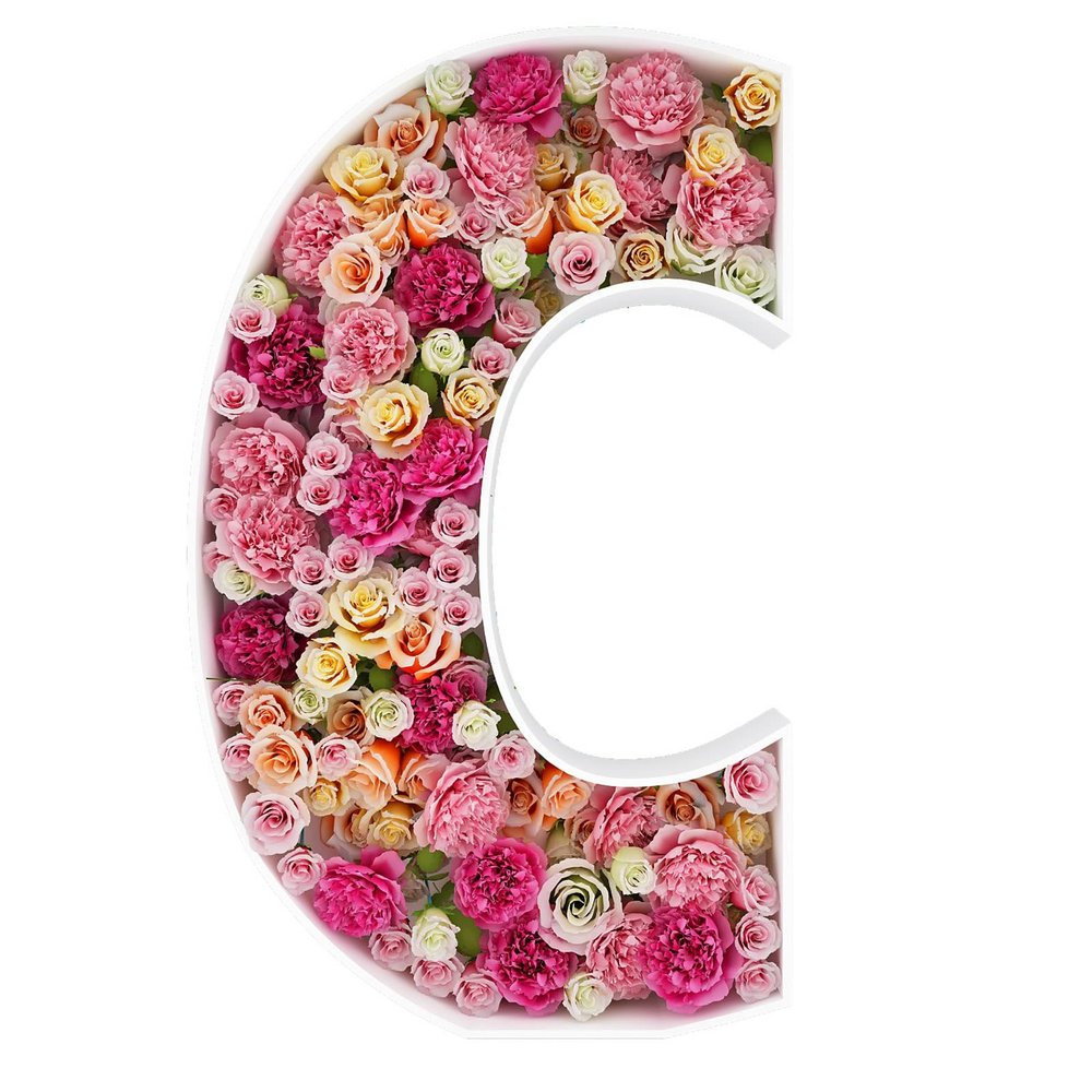 2FT Letter C Mosaic Balloon Frame Letter DIY Fillable Letters Kit for Birthday Party Wedding Backdrop Decor