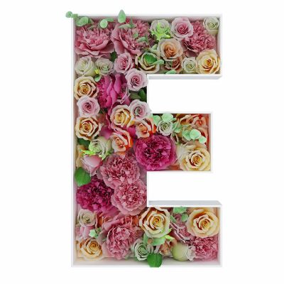 2FT Letter E Mosaic Balloon Frame Letter DIY Fillable Letters Kit for Birthday Party Wedding Backdrop Decor