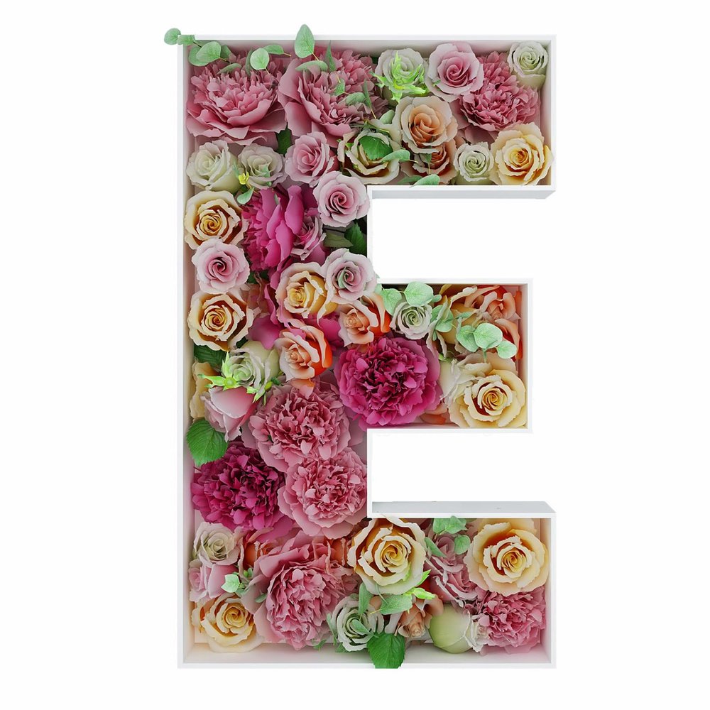 2FT Letter E Mosaic Balloon Frame Letter DIY Fillable Letters Kit for Birthday Party Wedding Backdrop Decor