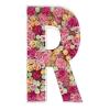 2FT Letter R Mosaic Balloon Frame Letter DIY Fillable Letters Kit for Birthday Party Wedding Backdrop Decor view 1