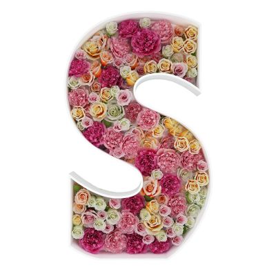 2FT Letter S Mosaic Balloon Frame Letter DIY Fillable Letters Kit for Birthday Party Wedding Backdrop Decor