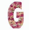 2FT Letter G Mosaic Balloon Frame Letter DIY Fillable Letters Kit for Birthday Party Wedding Backdrop Decor view 1
