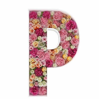 2FT Letter P Mosaic Balloon Frame Letter DIY Fillable Letters Kit for Birthday Party Wedding Backdrop Decor
