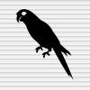 Crown Vinyl Decals Stickers for Walls Car Window Laptop Tumbler Boys Girls Kids Room Decor King Queen Princess Jewelry Silhouette YASVG15392 view 1