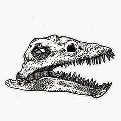 Thalassomedon Sticker Decal Size 5"