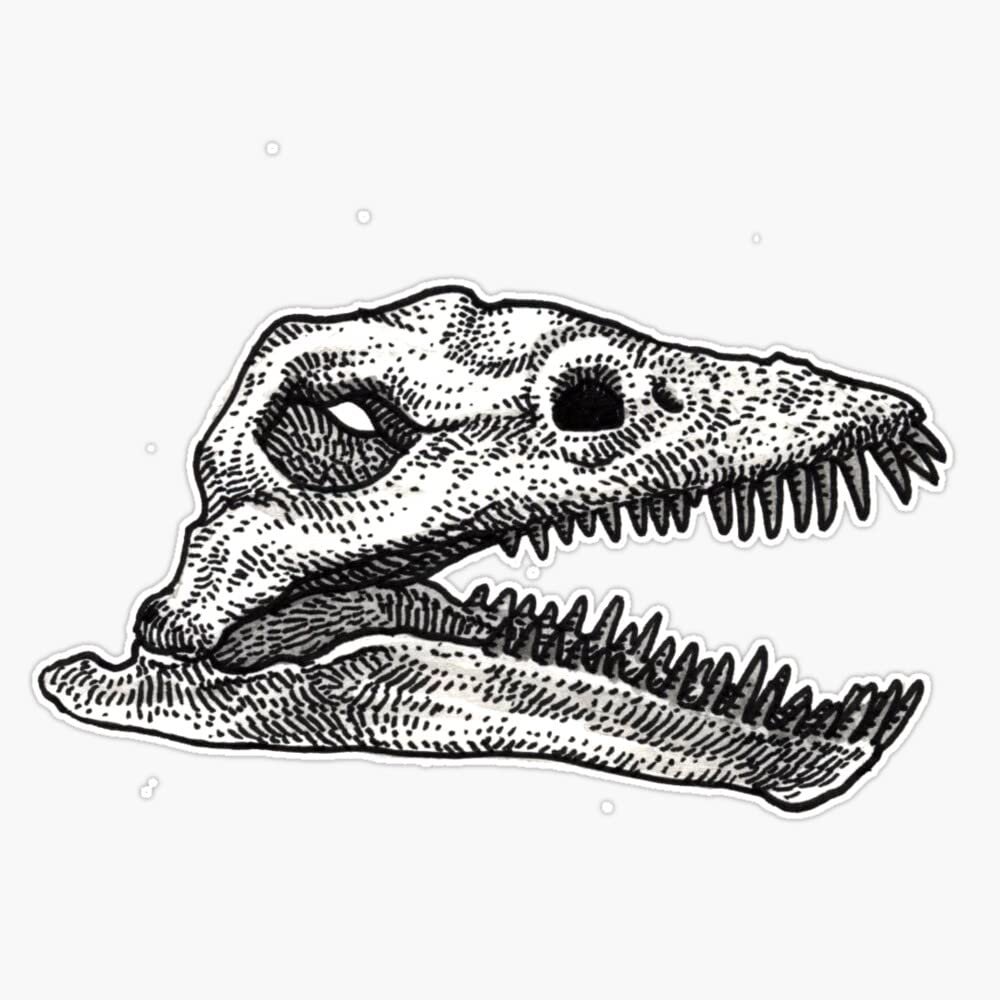 Thalassomedon Sticker Decal Size 5"