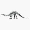 Brontosaurus Skeleton Sticker Decal Size 5" view 1