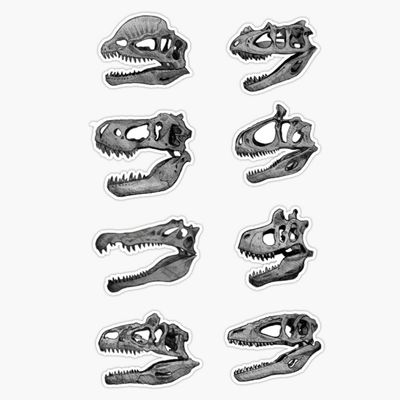 The Theropoda: Large Theropods Sticker Decal Size 5"