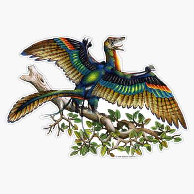 Archaeopteryx Sticker Decal Size 5"